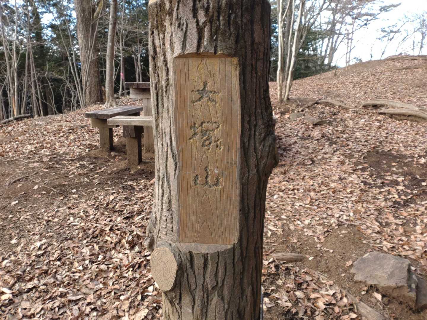 滝本駅-御岳山駅-大塚山-天狗の腰掛け杉-芥場峠-鍋割山- 縦走コースの写真