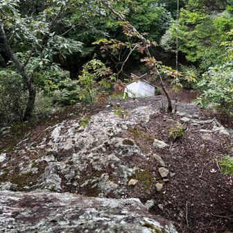 岩場直下に祠が設置されている。という事はこの岩は磐座？
後で行ってみよう。