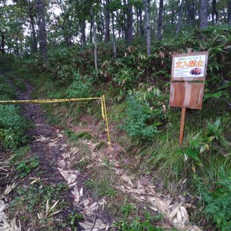 半面山方面はオオスズメバチ発生中なので立入禁止🈲

晴れや小雨なら絶対行かないけど、むしろこの強雨はチャンスでは…🐝？ってことで予定変更。
飲食なくても4時間半～5時間の低山なら問題なし。行きます✊