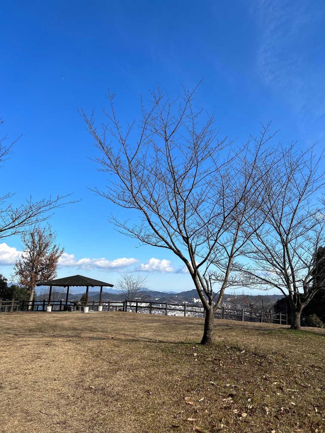 おー。すぐに、広い展望場所がありました😊