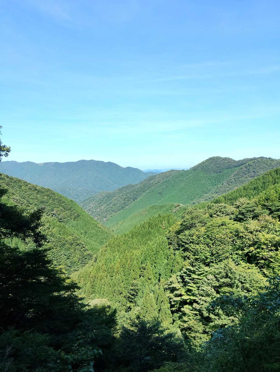 崩落地からこのトレイル初のナイスビューが…✨

中国百名山の鯛ノ巣山が見えました🏔️