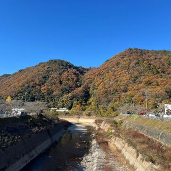 麓から眺める山が1番綺麗ではある