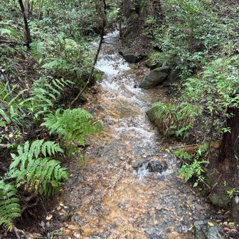 キレイな水の川を渡ればゴールは近い👍