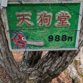 天狗堂　頂上
眺望は、展望岩に譲ります