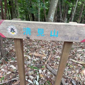 清見山⛰️