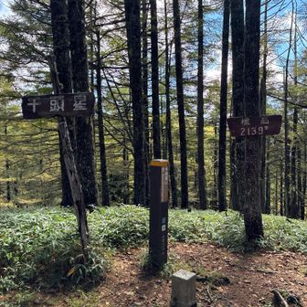 分かってはいたけど、山頂は見所無し