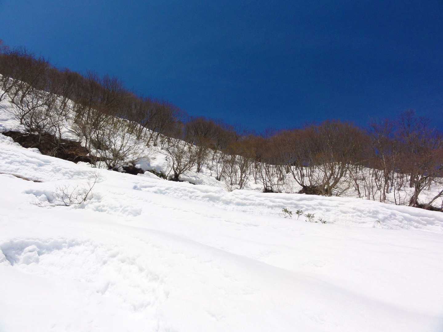 ジュッカの山を見上げると雪の高波が迫ってくるかのよう。