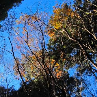 週末は４週連続の晴れ☀️‼️この時期、富山では奇跡    たっぷり陽射しを浴びたい