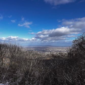 山頂から

この後、YAMAPの地図にない
2回目のコースを行ったら
やっぱりやばすぎた笑
