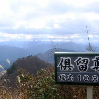 二本ボソがよく見えます