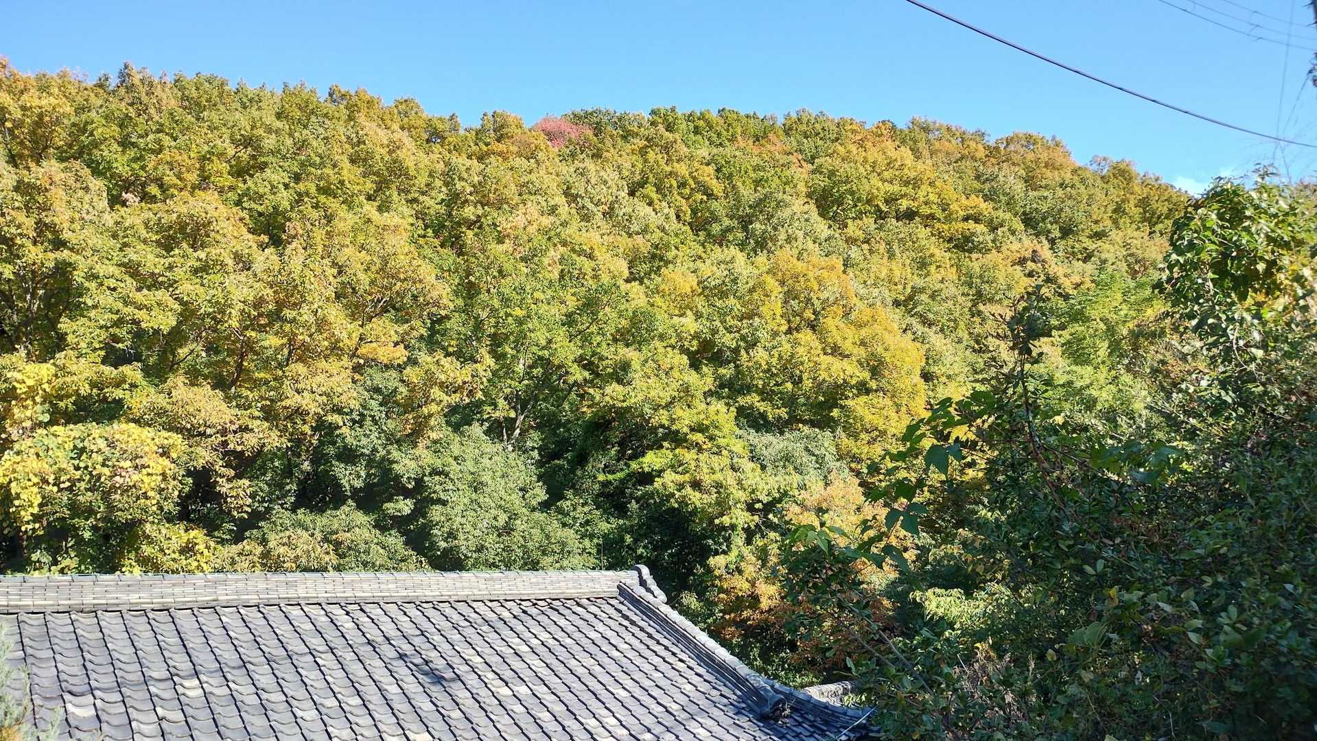 新石切駅-石切劔箭神社-興法寺-宝山寺駅-生駒駅 縦走コースの写真