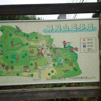 案内表示