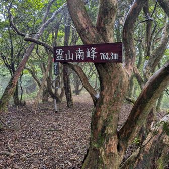 分岐に到着してからまずは南峰に。眺望はありませんが、いい音がする熊よけの鈴がありました。熊出そうにない山域ですがいい音なので何回か鳴らしました
