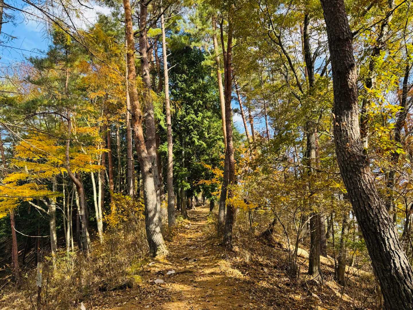 百蔵山-百蔵山登山口 周回コースの写真