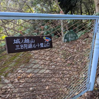 今年付け替えた新コックンプレート