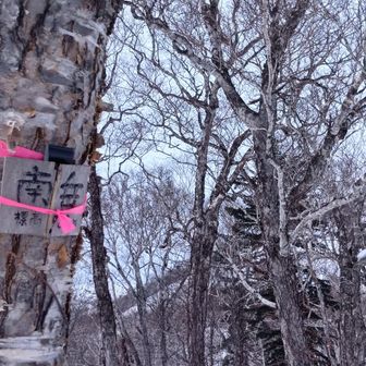 南岳
看板は瀕死です