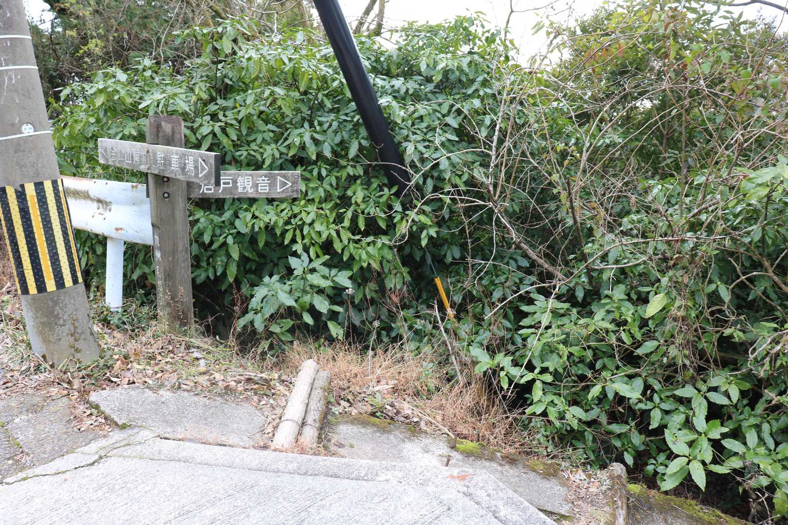 下山開始。舗装路を下山路に使いますが序盤は遠回りになるのでここから舗装路をショートカット。
