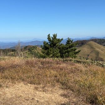 歩いてきた道がみえるよ