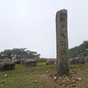 山頂到着💦
モヤってて眺望が無い😖
今日は珍しく山頂は独り占めでした。