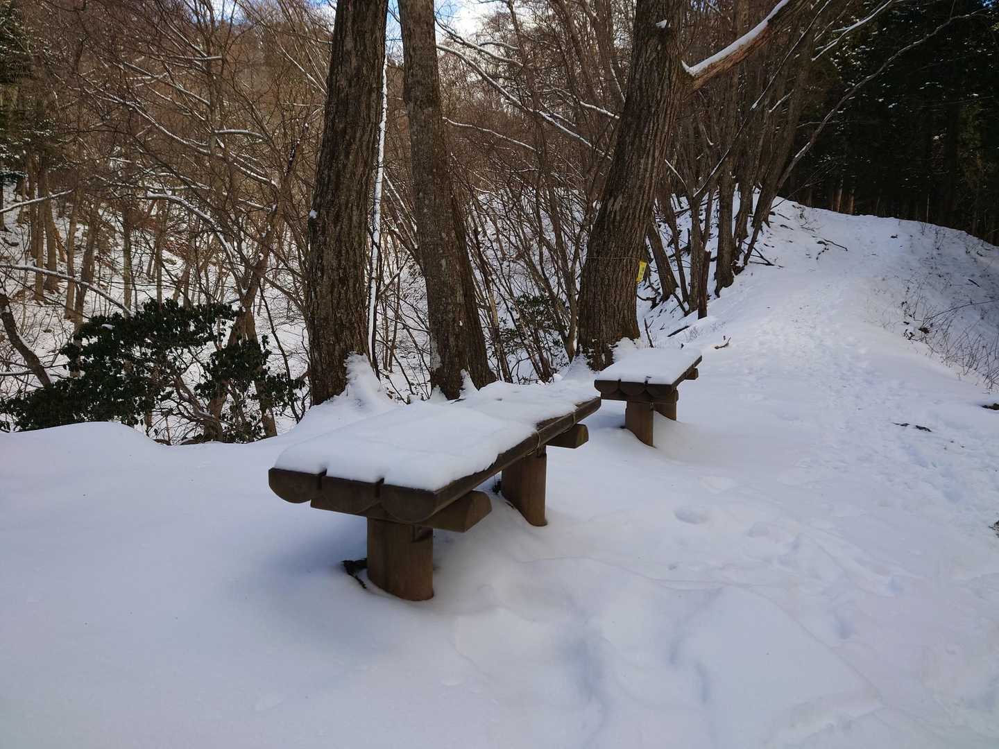冷え冷えベンチ🥶　ここらへんから太陽が隠れる時間が増えて急に寒くなりました、気づいたら手ぬぐいが凍ってました💦