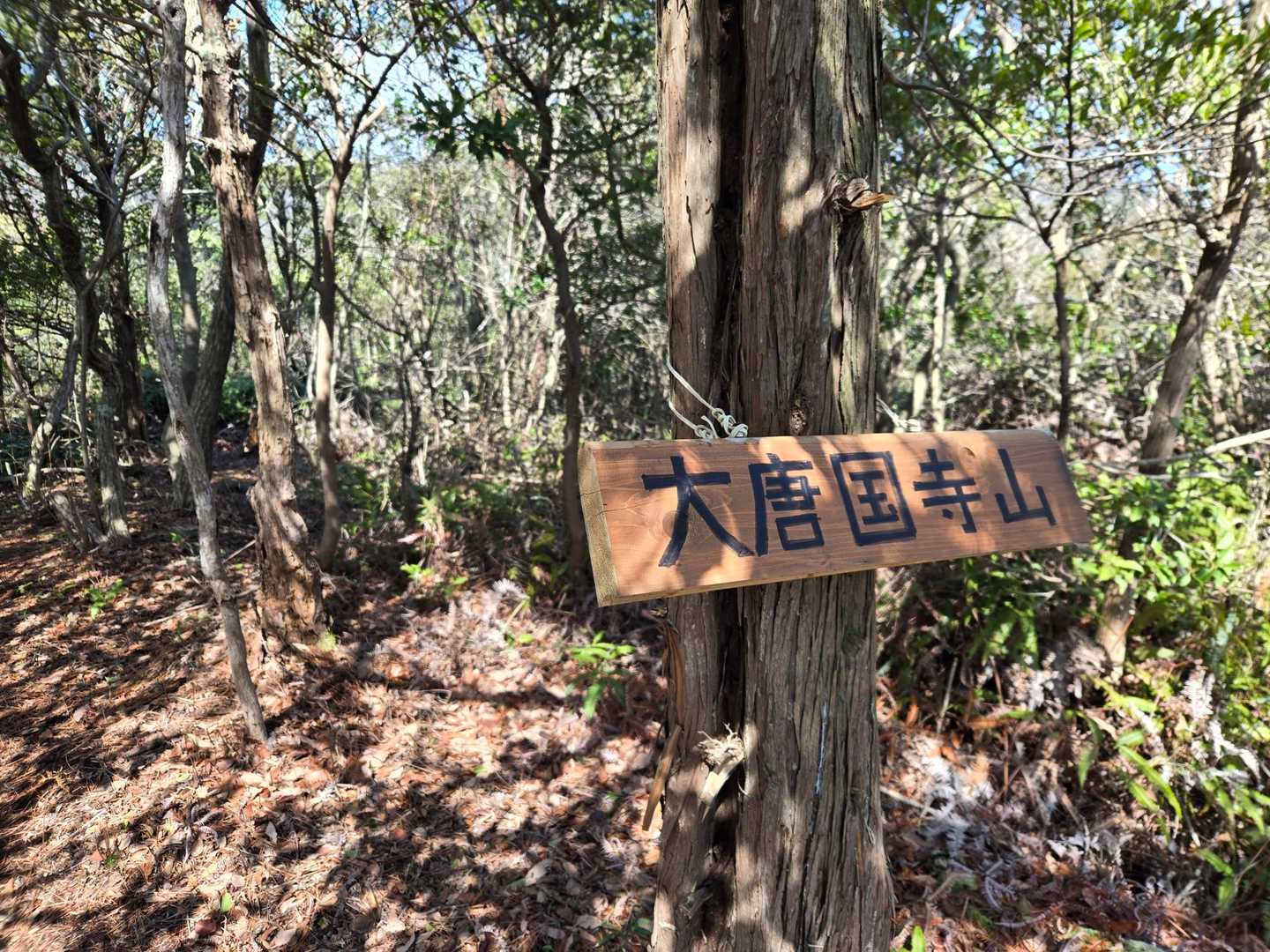 万石西尾根登山口-大唐国寺山-万石山-千石山-百石山-千石 縦走コースの写真