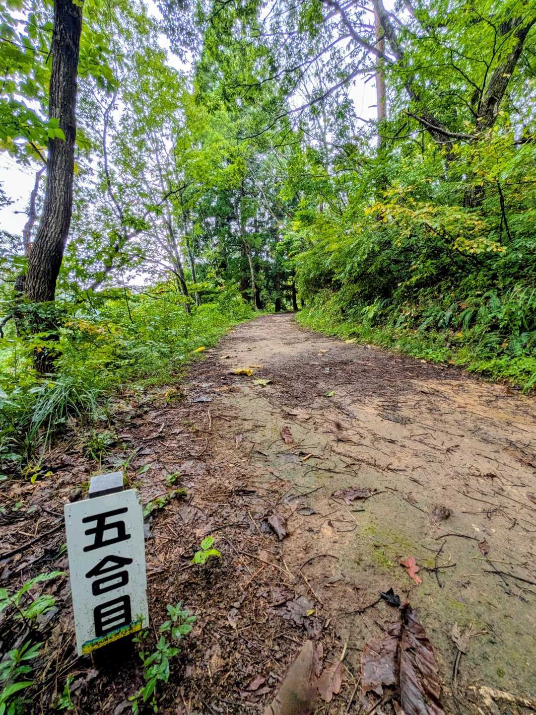 五合目
平坦へで歩き易いです✌