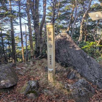 撮り忘れたけど、破風山から避難小屋まで一旦一気にすごい下りがある…避難小屋はとてもきれいだった。