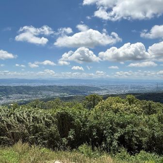 矢田丘陵や生駒市内
