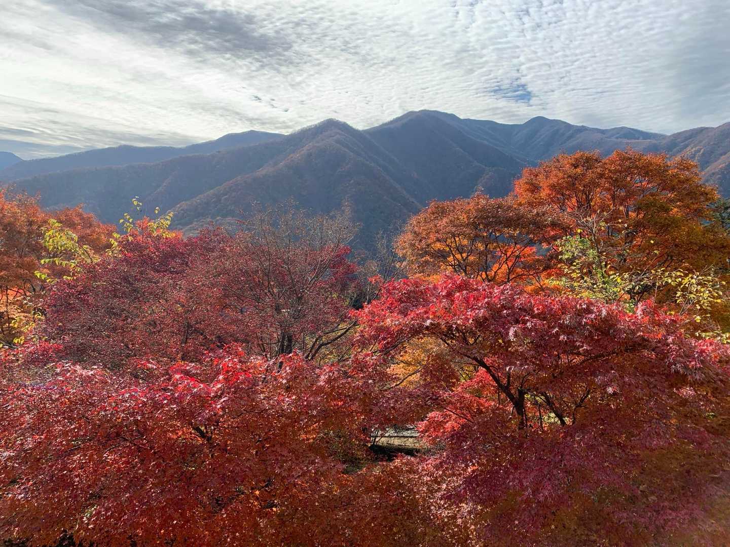 三峰神社市営駐車場からの眺望
