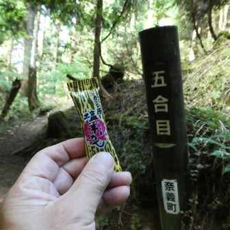 五合目で糖分補給