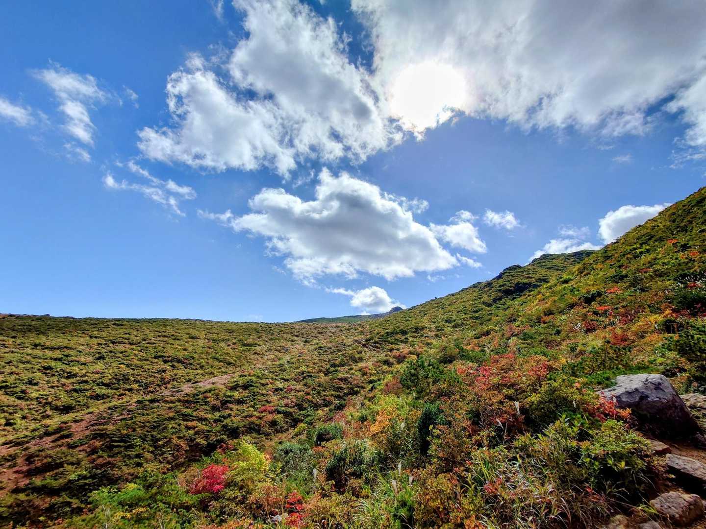 奥岳登山口-携帯トイレブース 往復コースの写真