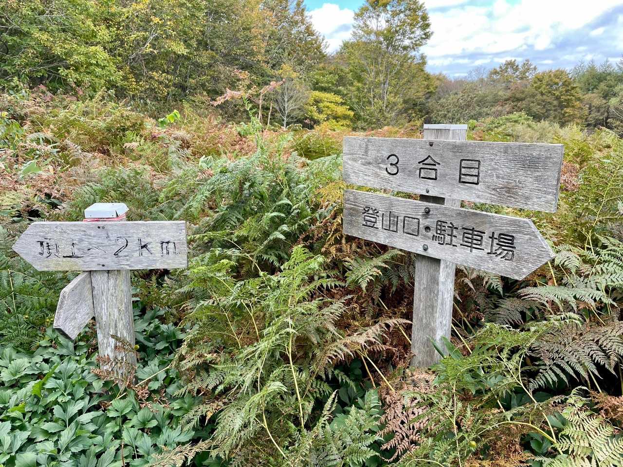 ここからが登り始め