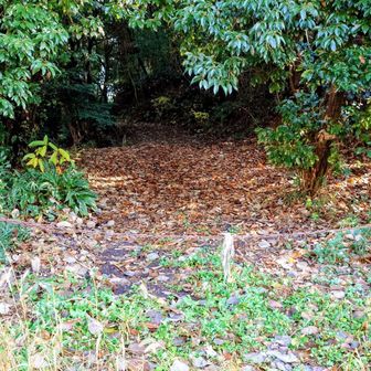 入口に⛓️あり。