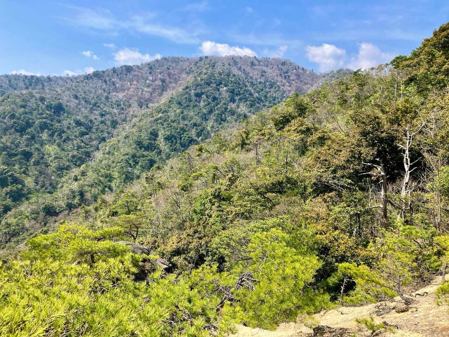 岳山-鳥越峰-見張山 縦走コースの写真