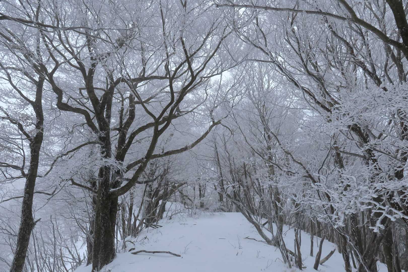 上の登山口-国見山 往復コースの写真