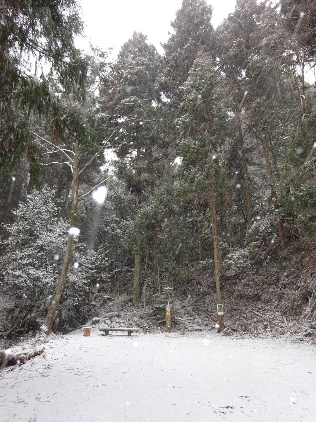 登山口から薄っすら積雪☃️