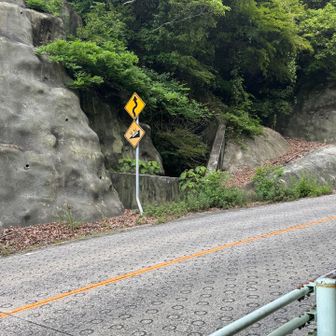 斜度9パー…
疲れた足にはキツイ😵‍💫