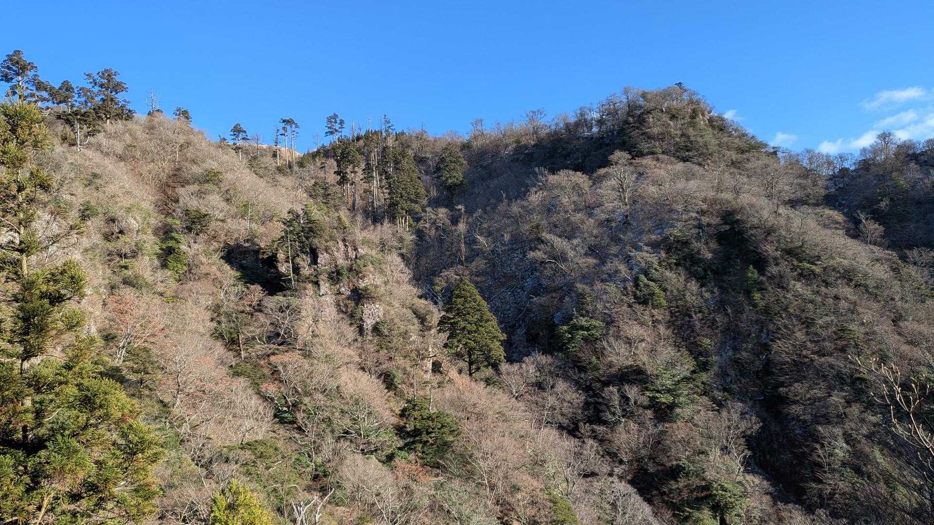バードライン分岐近くのポイント。紅葉が本来ならきれいに撮れる。紅葉にはもちろん遅すぎた。