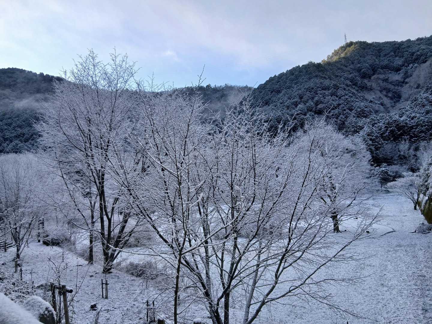 権現山 周回コースの写真