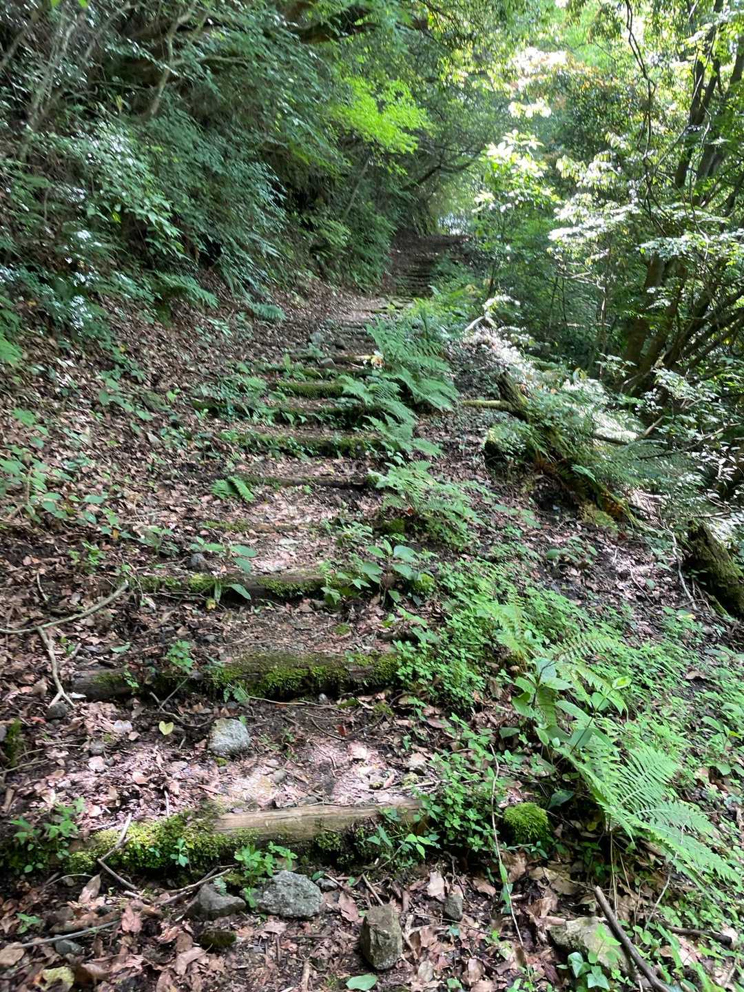 螺旋状🌀に登っていく。