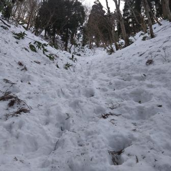 避難小屋下、めちゃ急斜面、どこ登っていくのかわからん？