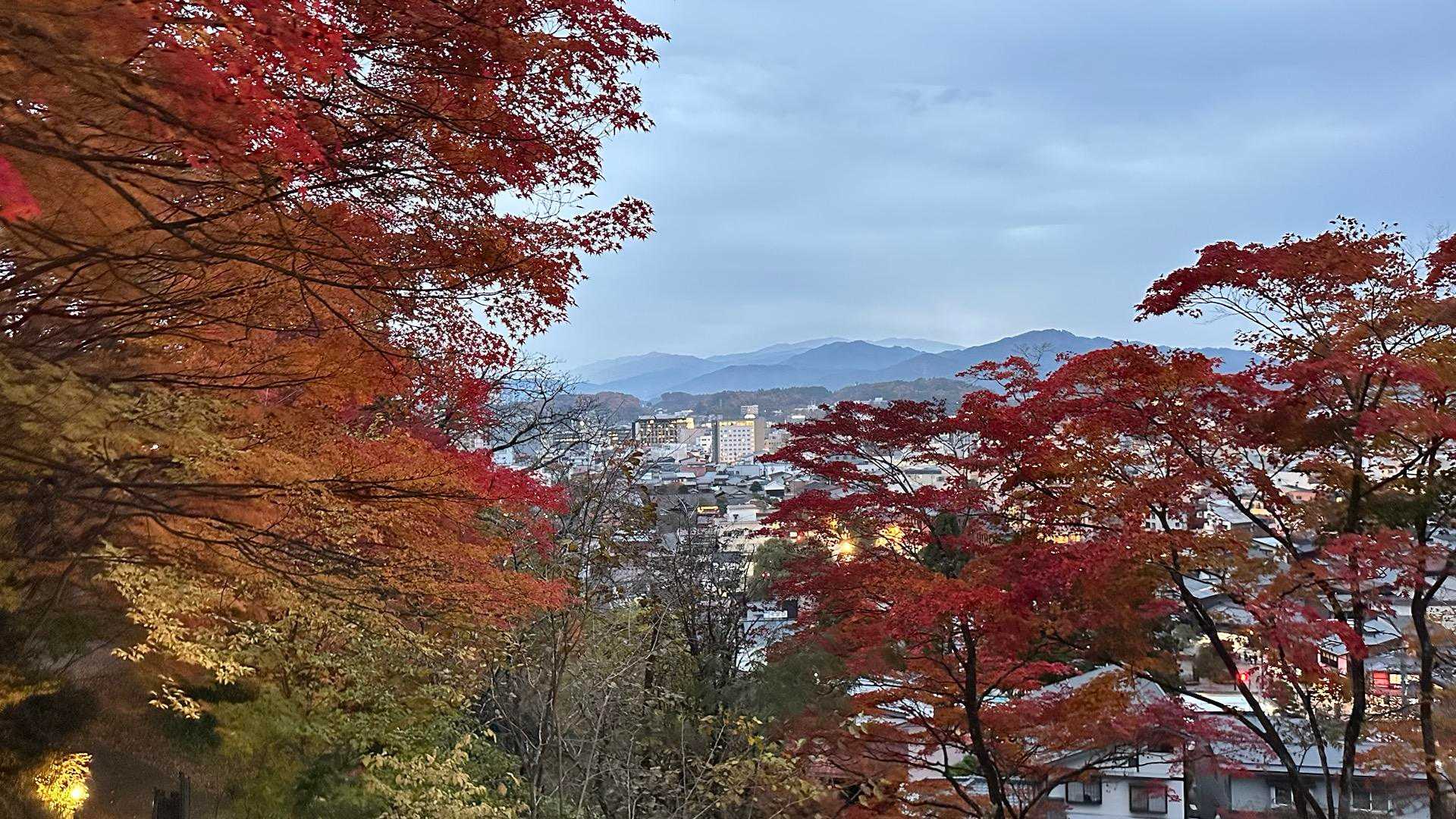 素敵な場所でした