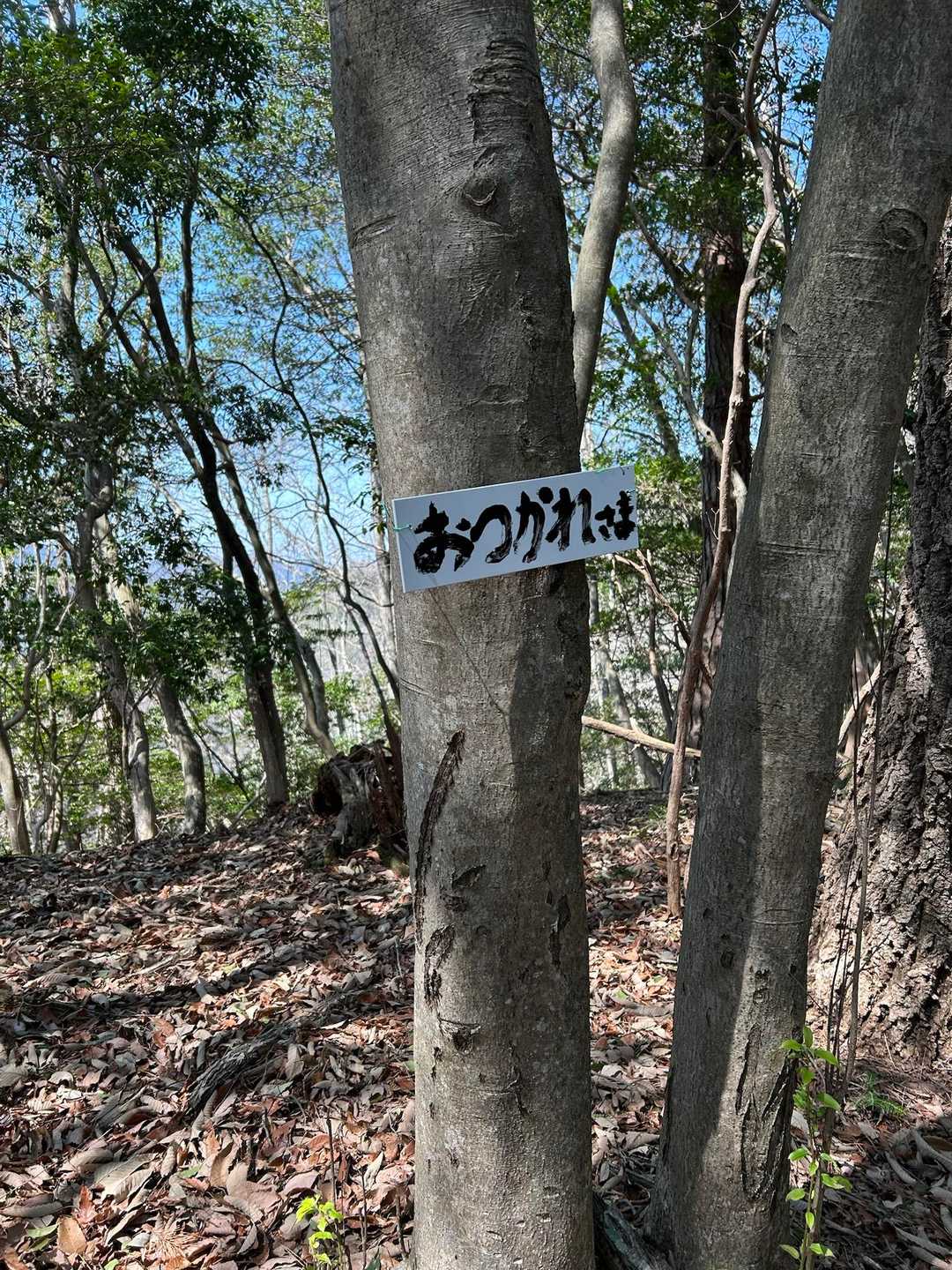 おつかれさま