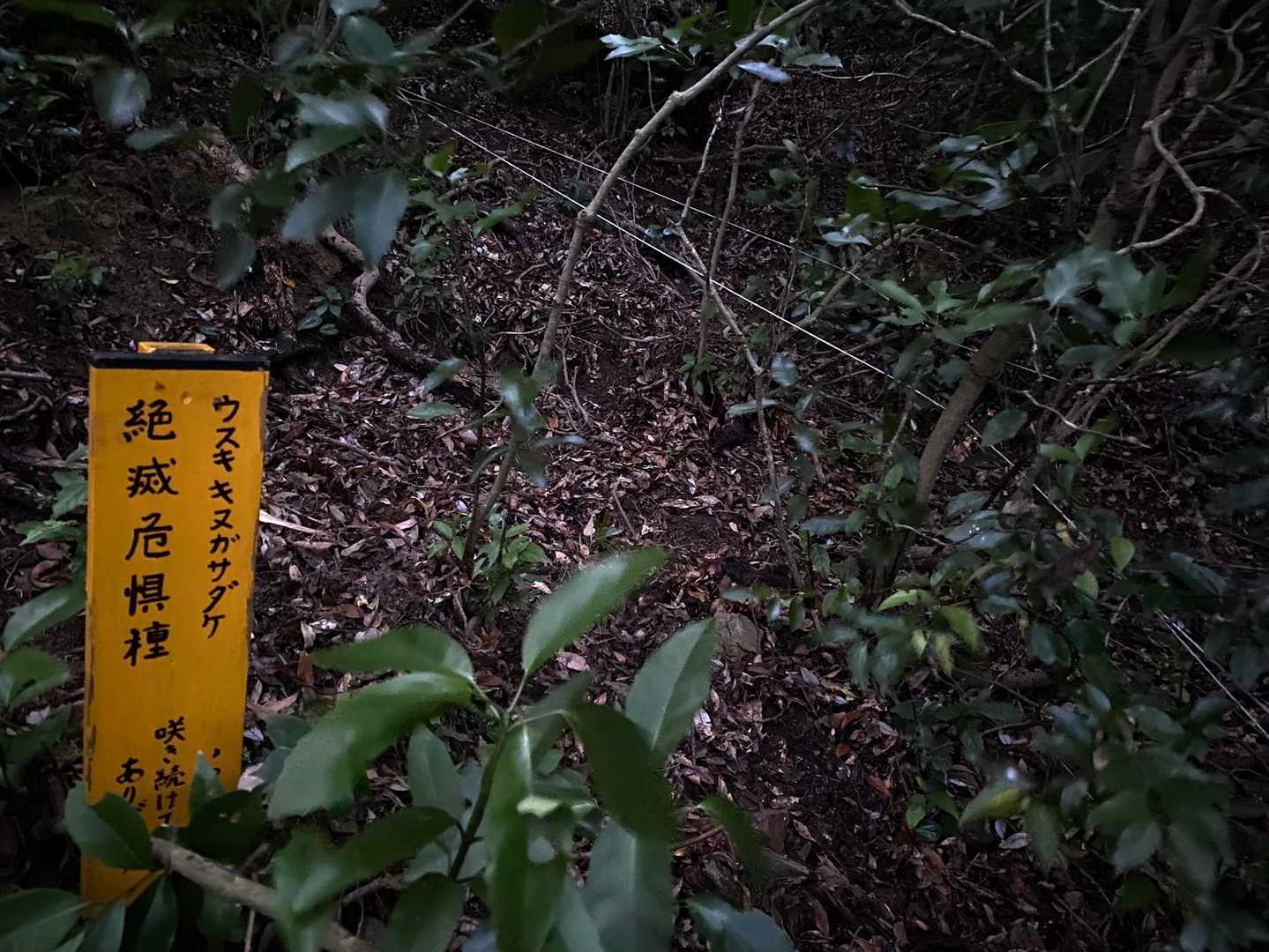 終電で帰って寝たけど、目が覚めたわ。
たまにはゆっくり寝かせて〜寝かせてよ〜
山頂で、みかちゃんにLINEしたら『てかさ、寝ろ』って笑