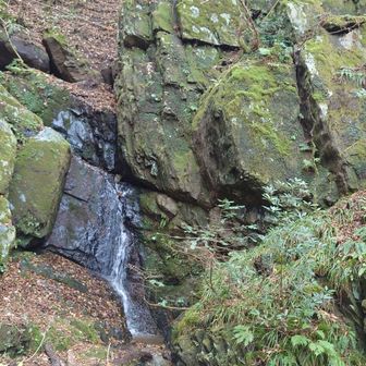 洗谷はなぜ荒谷じゃないのだろう🤔