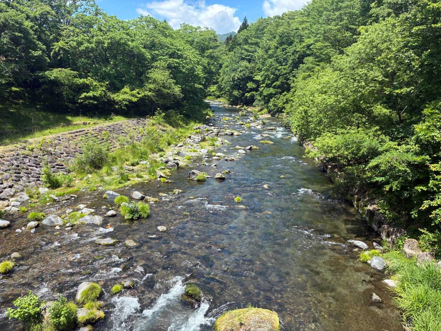 鳴虫山登山口-神ノ主山-鳴虫山-合峰-独標 縦走コースの写真