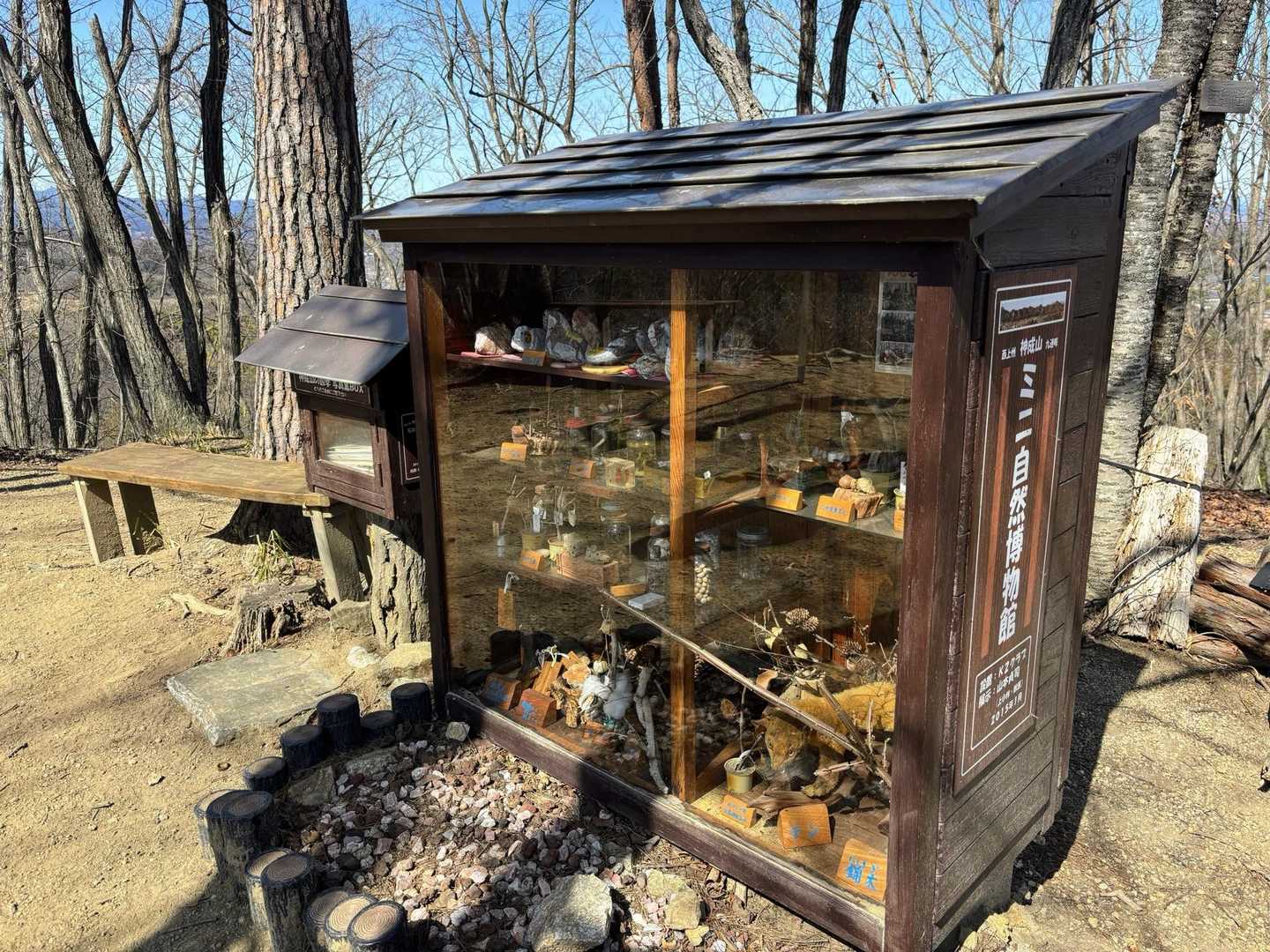 ミニ自然博物館があります😊
