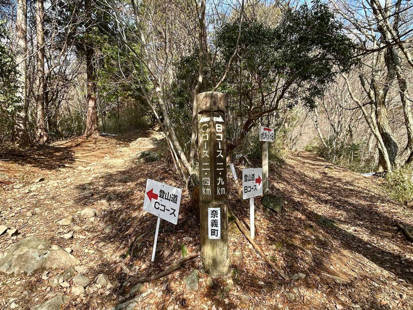 Cコースで登ります👈️