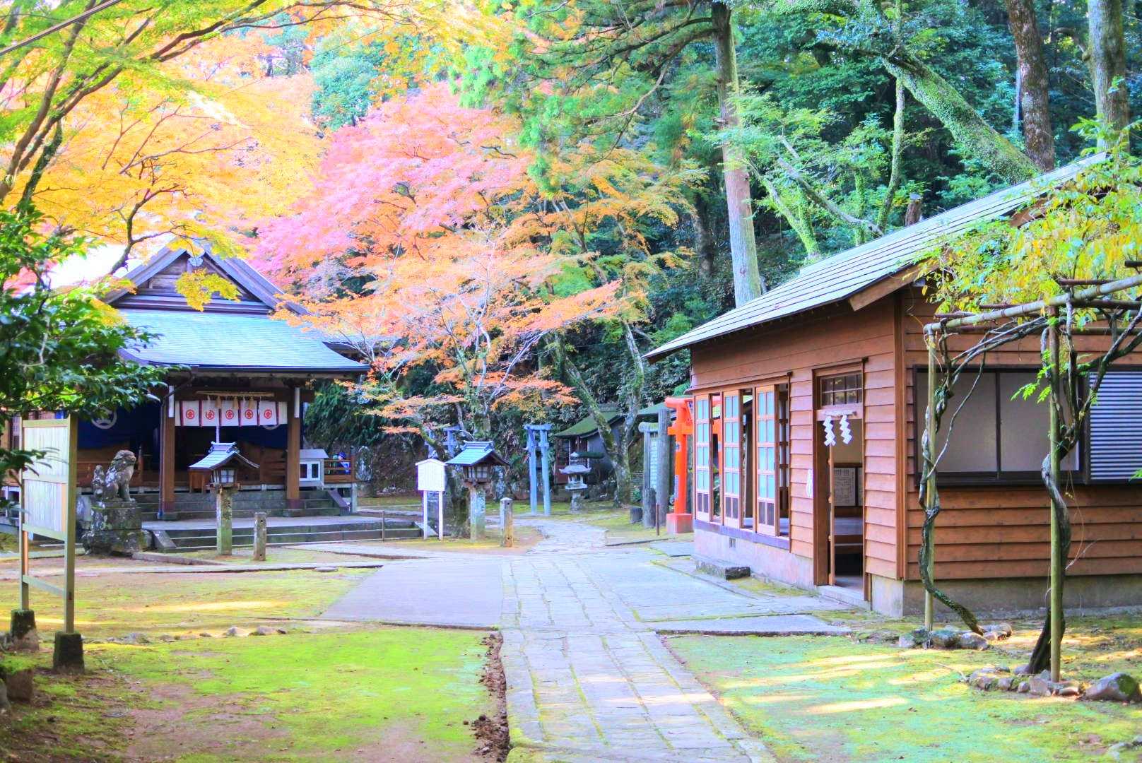 金比羅神社-金比羅山 往復コースの写真