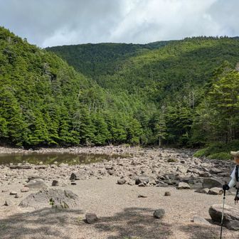 亀甲池には水がほとんどありません。渇水が原因か